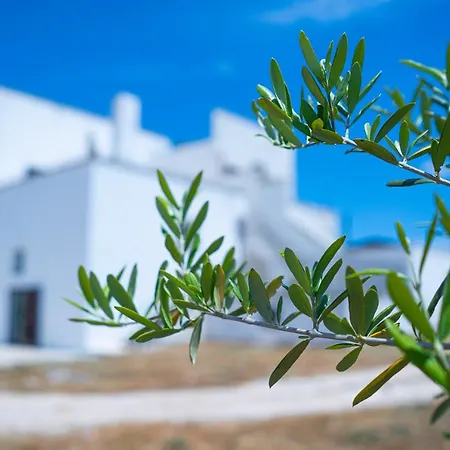 בית כפרי Masseria Donna Coletta *